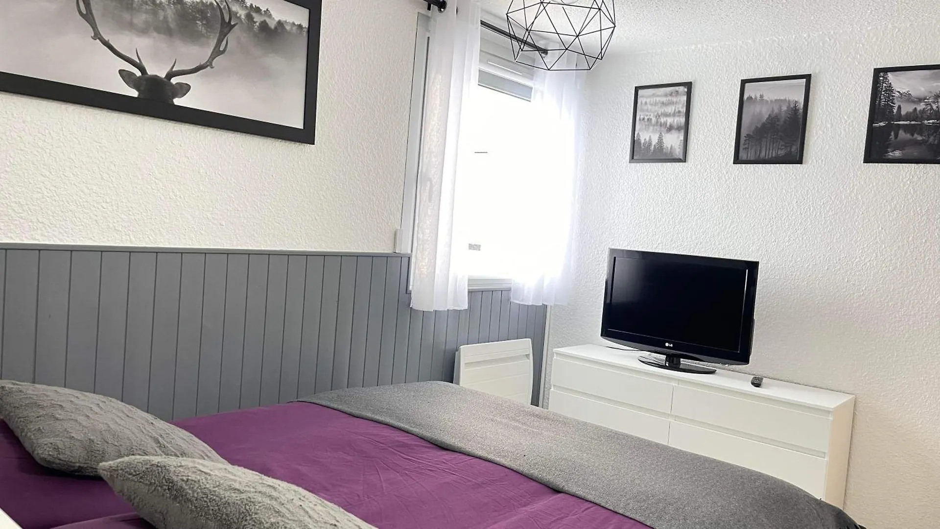 Au Pied Des Pistes Les 2 Alpes location
